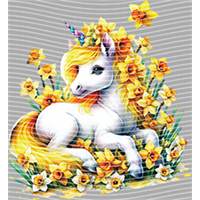 Rainbow Horse-RH 497